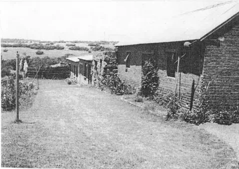The Grail Cottages 1955